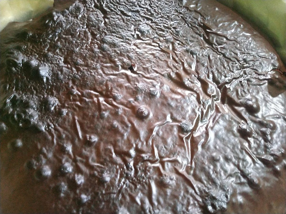 Stock photo representing Cocoa + Chipits Brownies
